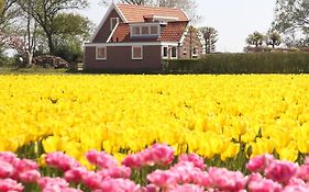Bungalow Callantsoog